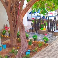 خوابگاه دخترانه رز یک نفرجایگزین|اجارهٔ کوتاه‌مدت آپارتمان و سوئیت|شیراز, قصرالدشت|دیوار
