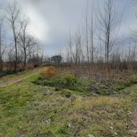 پلاک-باغی-210-متری-چسبیده-به-مناطق-مسکونی-برقو-گاز