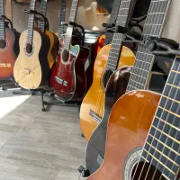 انواع گیتار|گیتار، بیس، امپلیفایر|تالش, هشتپر|دیوار