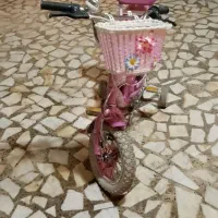 دوچرخه دخترانه سایز دوازده