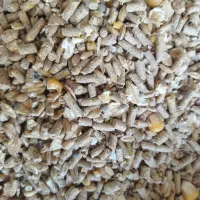 دان درجه ۱تخمگذار مخصوص انواع طیور