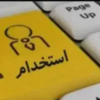 استخدام حسابدار خانم