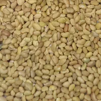 بذر یونجه رنجر تناژ بالا