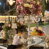 تشریفات مجالس عقد عروسی وتولد