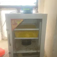 دستگاه جوجه کشی|لوازم جانبی حیوانات|تربت جام, شاد|دیوار