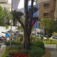 زعفرانیه کلنگی ۹۰۰متر