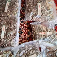 دوعدد تلفن قدیمی سالم|تلفن رومیزی|شاهین‌شهر, بنیاد ازدواج|دیوار