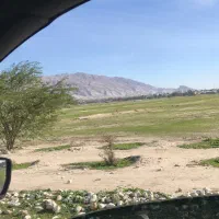 فورش فوری یک قطعه زمین ۹ دی