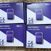 هارد وسترن دیجیتال ۲ ترا purple purz