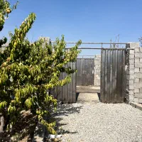 باغ سرسبز و بِکر/۳۱۹ متر،محصور شده