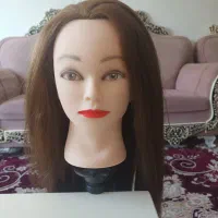 سرمانکن شنیون