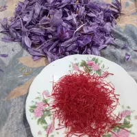 زعفران و گل زعفران امسالی از کشاورز|خوردنی و آشامیدنی|تهران, زعفرانیه|دیوار