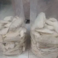 کف دریا درجه ۱