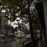 تولید محتوا ، و ادمین هستم