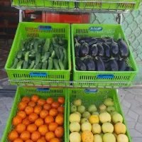 دکور هایپر میوه  تخفیف پای معامله  فقط تماس|فروشگاه و مغازه|شیراز, دروازه اصفهان|دیوار