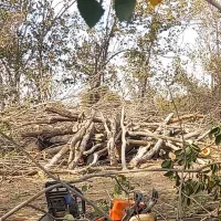 خرید تیجه وچوب