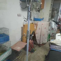 رخت اویز|بندرخت و رخت‌آویز|شیراز, فرگاز|دیوار