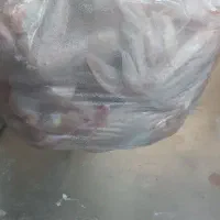 مرغ فروش