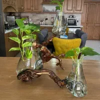 گلدان دکوری