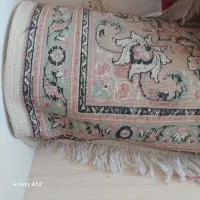۷ عدد فرش|فرش|مراغه, |دیوار