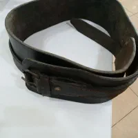 کمرپهن هیکلی .علامت کشی.