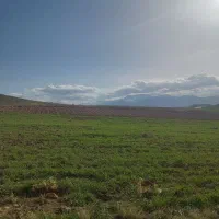 زمین برای جای زنبور متراژ یک هکتار