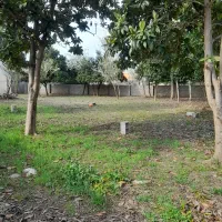 فروش 1021زمین مسکونی در جاده ماسوله متری 4500