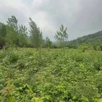 فروش زمین ۴۰۰ متری داخل طرح هادی اطاقور