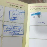 پامر|سگ|چهارباغ, |دیوار