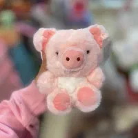 عروسک سایز کوچیک ‌بزرگ|اسباب‌بازی بچه|هشتگرد, هشتگرد قدیم|دیوار