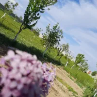 زمین-کشاورزی