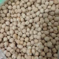 کشمش آفتابی با کیفیت|خوردنی و آشامیدنی|نیشابور, شهرک فیروزه|دیوار