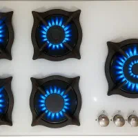 اجاق گاز صفحه ای شیشه ای پادیسان