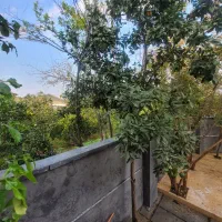 ویلا باغ شست رفته قیمت کف منطقه با مدارک کامل|فروش خانه و ویلا|محمودآباد, |دیوار
