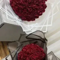 گلهای جاودان و زیبا