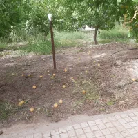 باغ-جاده-کانال-فوق-العاده