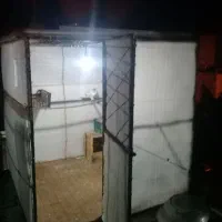قفس کبوتر