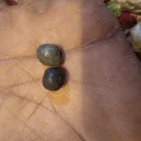 یک جفت مهره گبری