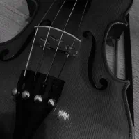 ویولون فونیکس