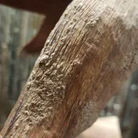 مجسمه نهنگ از چوب گردو کار استادکار اصفهانی|مجسمه، تندیس، ماکت|قزوین, |دیوار