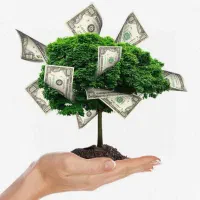 سرمایه گذاری با سود بالا کاملا شرعی و مطمئن