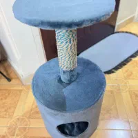 وسایل گربه یاسگ|لوازم جانبی حیوانات|تهران, ابوذر|دیوار