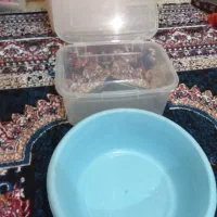 همشون با هم پلاستیکی و شیشه همشون دویست هزار تومان|ظروف سرو و پذیرایی|تهران, مولوی|دیوار