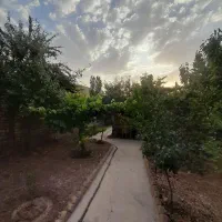 خانه ویلایی|فروش خانه و ویلا|ضیاء آباد, |دیوار