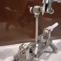 طرح پیش ثبت نام ،ملکه های اصلاح شده ی زنبور عسل