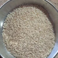 برنج سرلاشه هاشمی