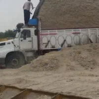 باگاس نیشکر|حیوانات مزرعه|مرودشت, تخت جمشید|دیوار