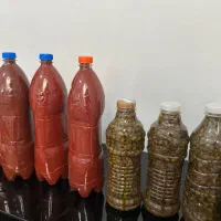 رب گوجه ارگانیک خانگی و ترشی بنه|خوردنی و آشامیدنی|شیراز, شهرک فرهنگیان|دیوار