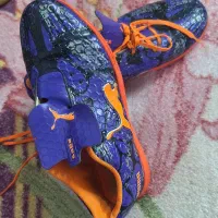 یه جفت کفش سالنی