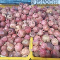 انار مخصوص رب و آبگیری ۲۹